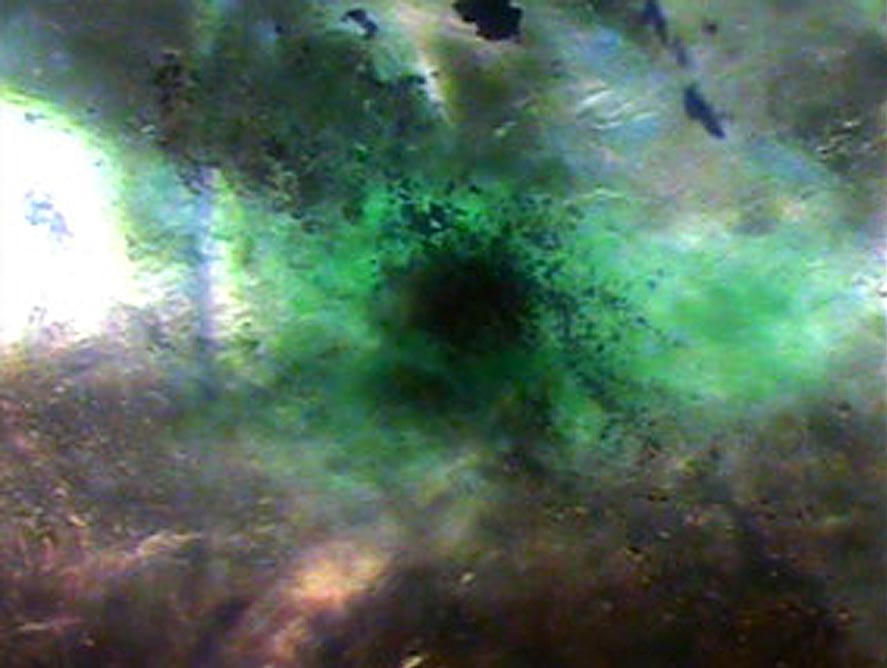 a concentration of green dye around a crystal inclusion within a gemstone