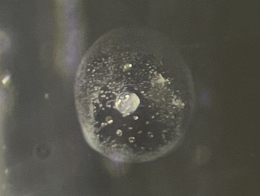 a snowball inclusion within a heat-treated blue sapphire specimen