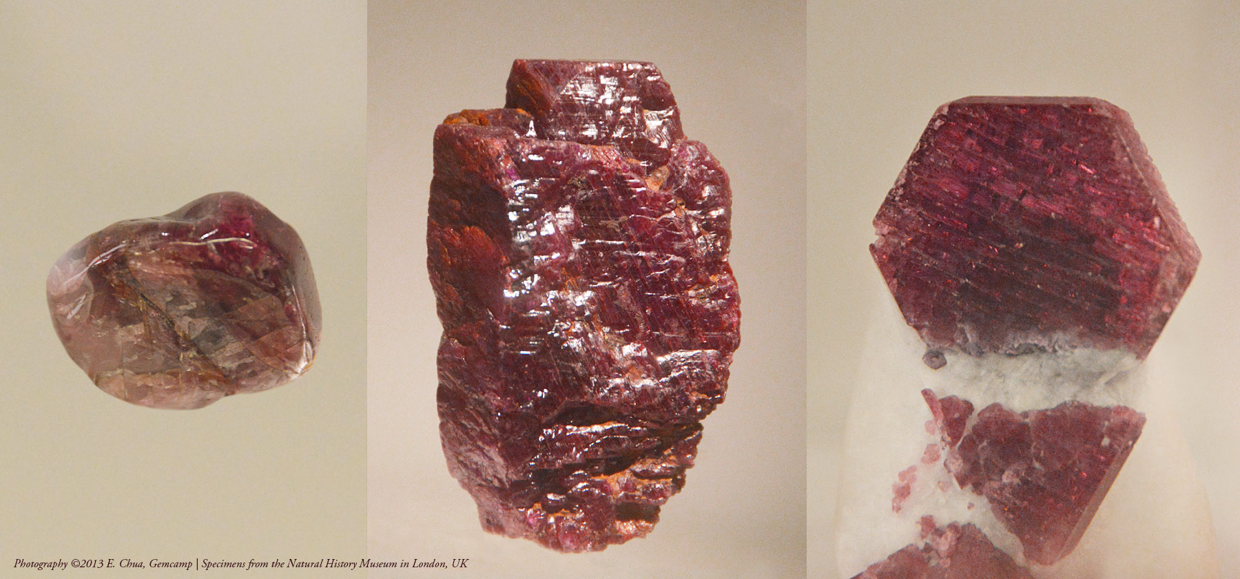 Three ruby specimens photographed by our Gemcamp gemologists during their visit to the natural history museum in London