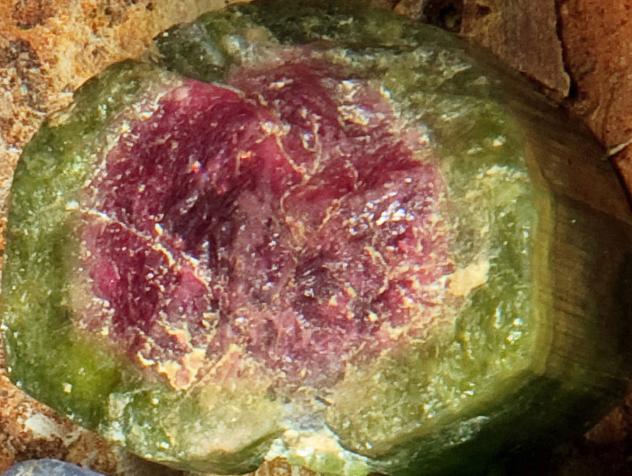 watermelon tourmaline cross section